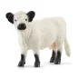 Preview: Schleich Galloway Kuh