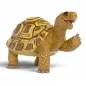 Preview: Schleich Henrietta die Schildkröte