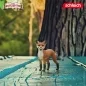 Preview: Schleich Rabbat the Fox