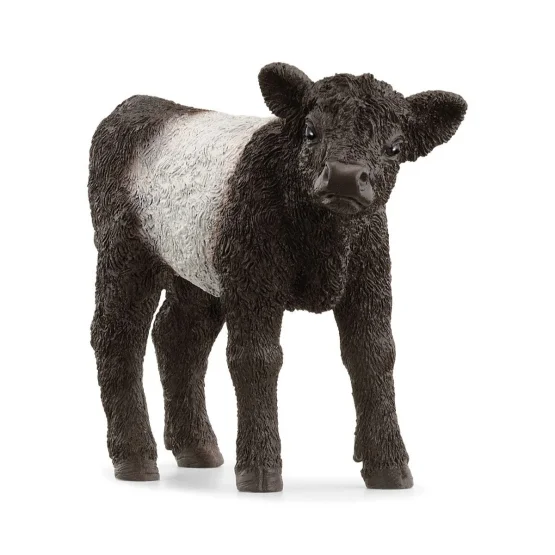 Schleich Galloway Calf